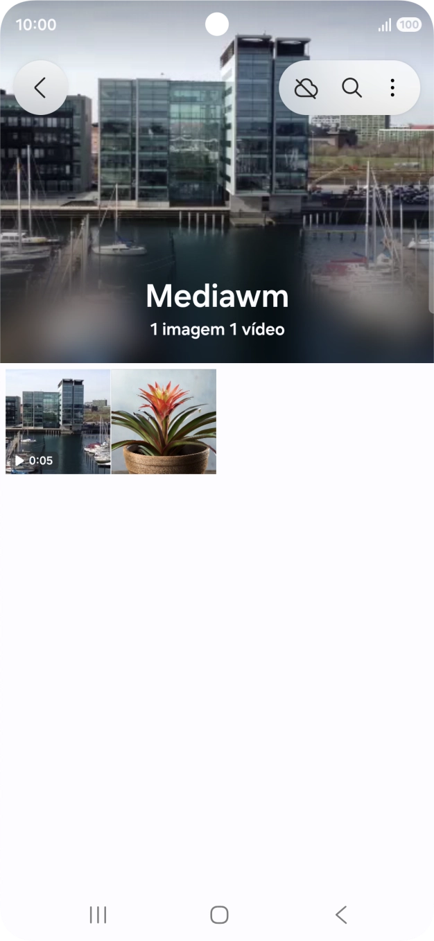 Prima durante um momento uma imagem ou um vídeo.