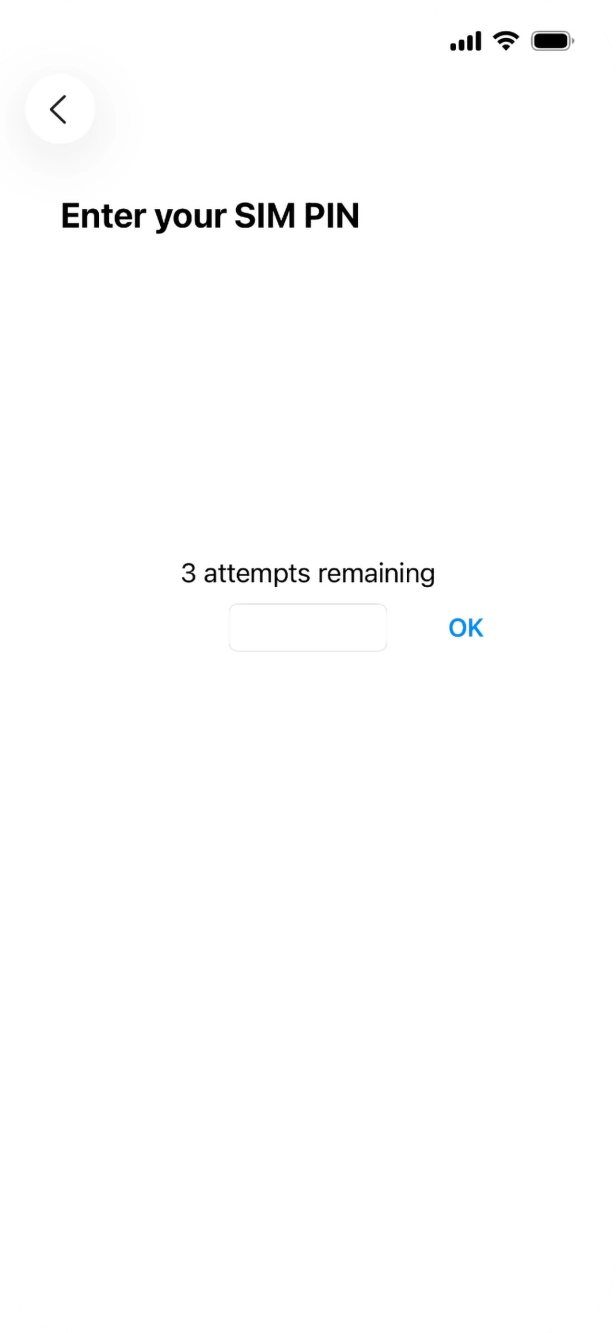 If your SIM is locked, key in your SIM PIN and press OK. The default SIM PIN is 0000.
