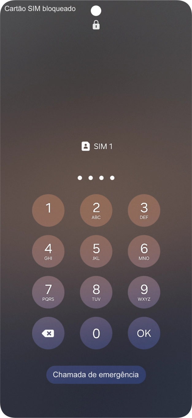 Se o cartão SIM estiver bloqueado, deve introduzir o código PIN e premir OK.