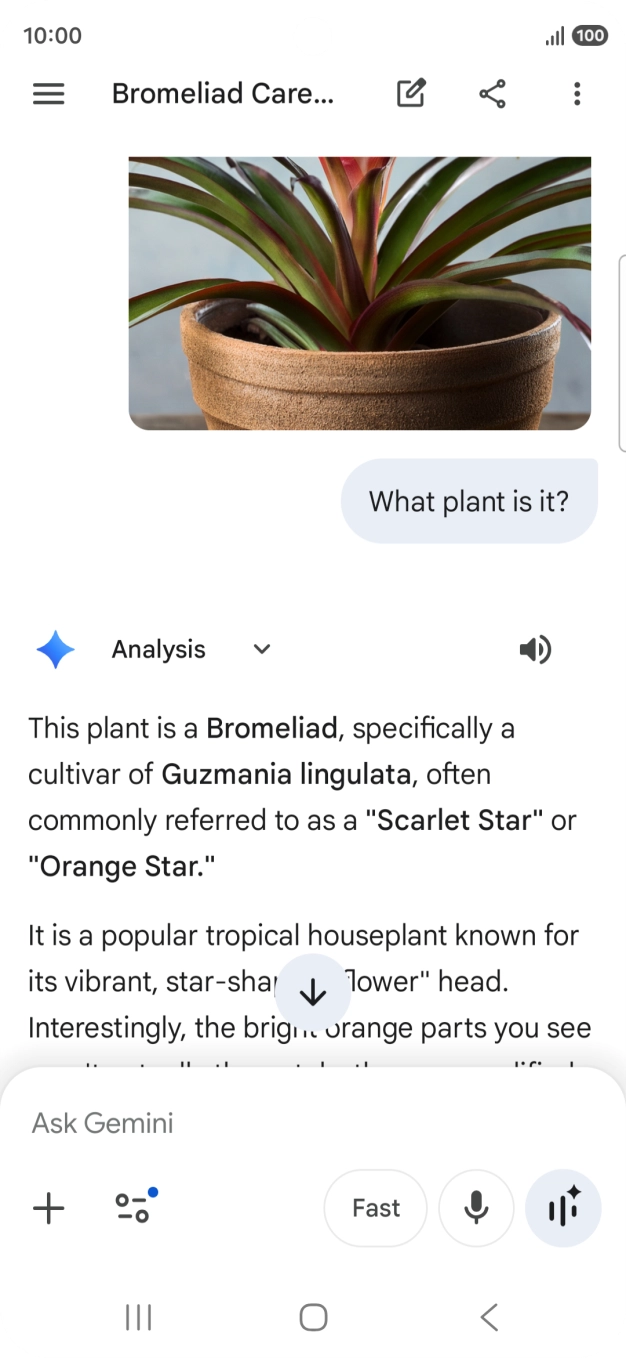 Follow the instructions on the screen to type or speak the required question. You can also attach pictures or documents and ask questions to them.