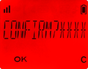 Introduza o seu novo código PIN novamente e prima OK.