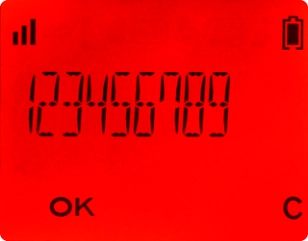 Introduza o número de telefone pretendido e prima OK.