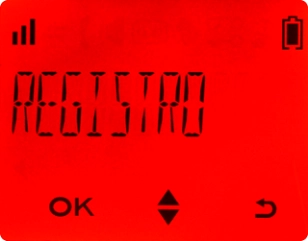 Escolha REGISTRO.