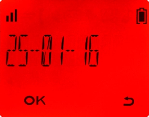 Introduza a data pretendida e prima OK.