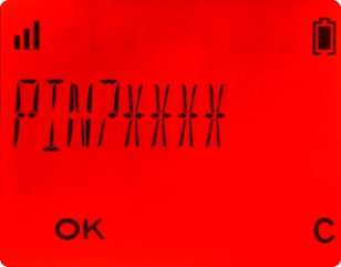 Introduza o seu código PIN atual e prima OK.