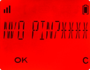 Introduza um novo código PIN de quatro algarismos e prima OK.