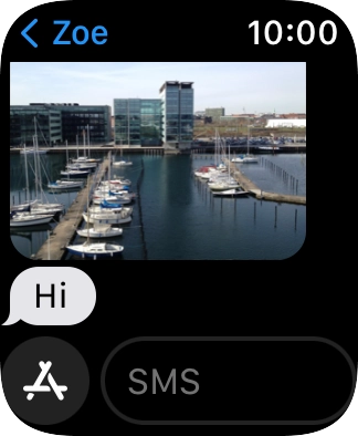 Press SMS.