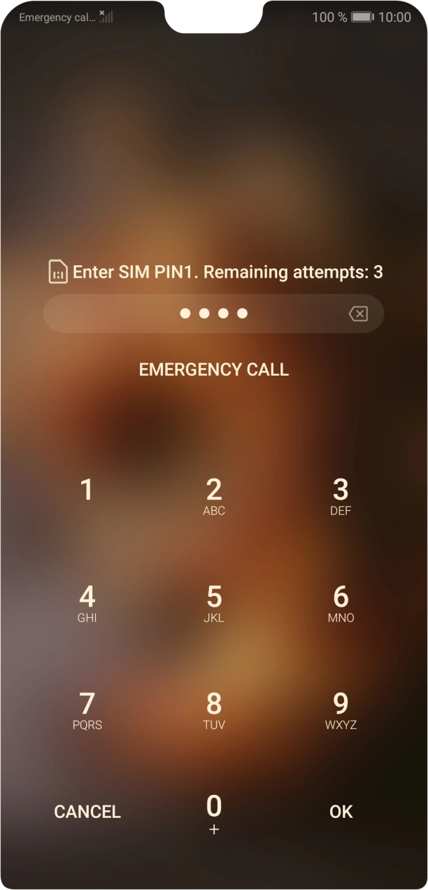 Key in your SIM PIN and press OK. The default SIM PIN is 0000.
