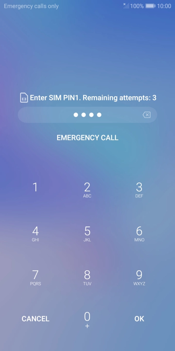 Key in your SIM PIN and press OK. The default SIM PIN is 0000.