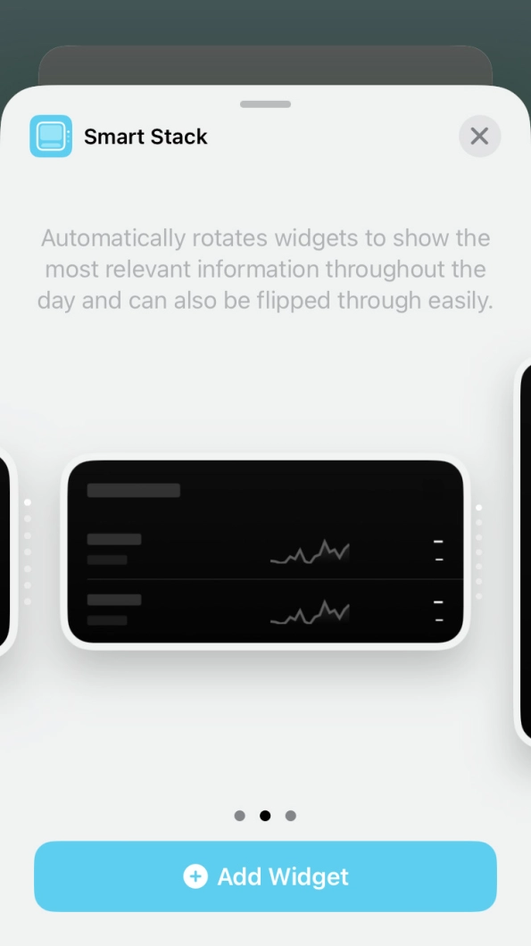 Slide your finger right or left on the screen to select the required widget size. Slide your finger right or left on the screen to select the required widget size.