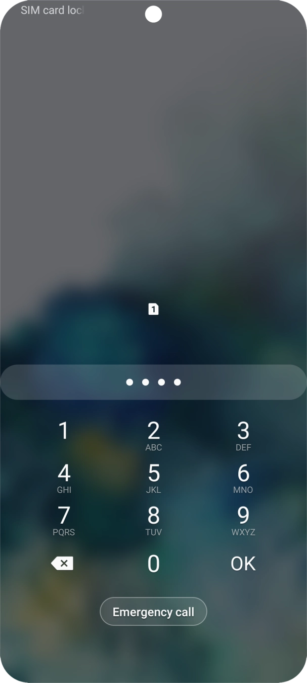Key in your SIM PIN and press OK. The default SIM PIN is 0000.