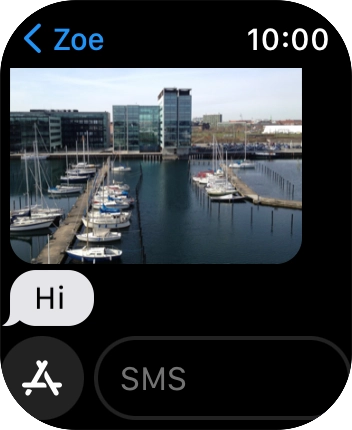 Press SMS.