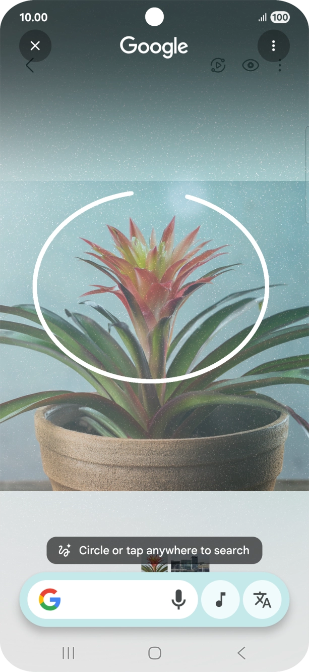 Draw a circle around the required object on the picture and wait for the search results. Draw a circle around the required object on the picture and wait for the search results.