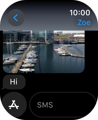 Press SMS.