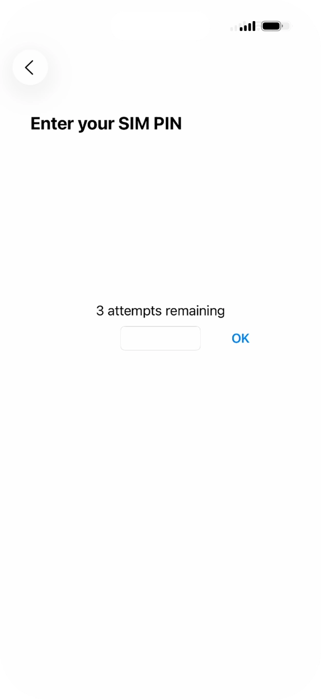 If your SIM is locked, key in your SIM PIN and press OK. The default SIM PIN is 0000. If your SIM is locked, key in your SIM PIN and press OK. The default SIM PIN is 0000.