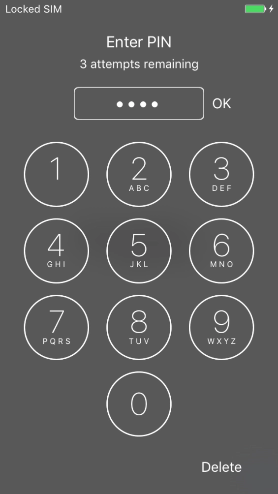 Key in your PIN and press OK.