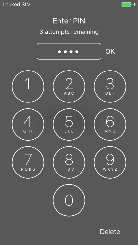 Key in your PIN and press OK.