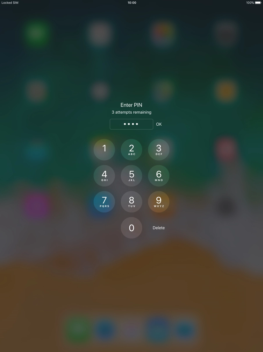 Key in your PIN and press OK.