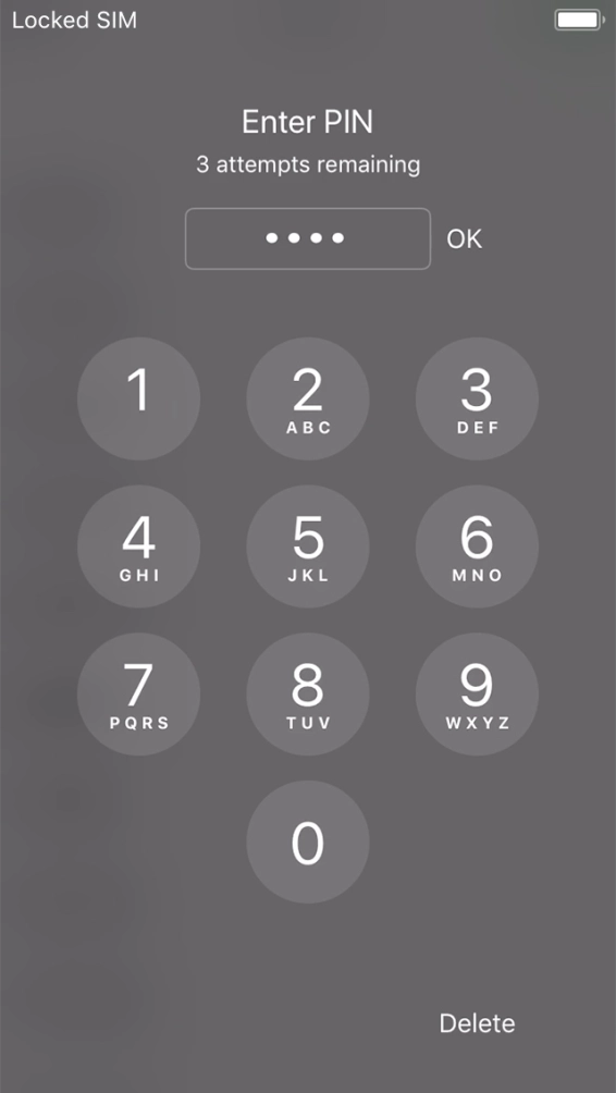 Key in your PIN and press OK. Key in your PIN and press OK.