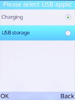 Select USB storage.