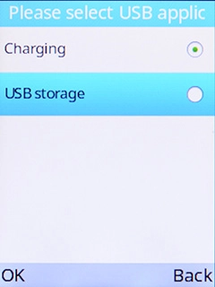 Select USB storage.