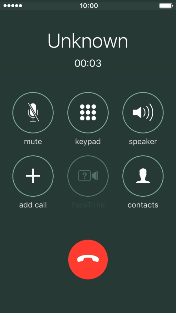 Press the end call icon to end the call and return to the home screen.