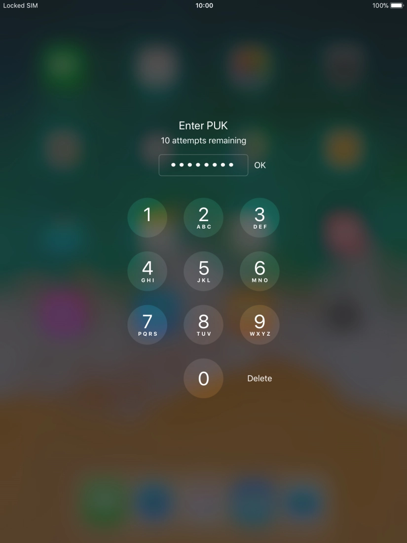 Key in the PUK and press OK.