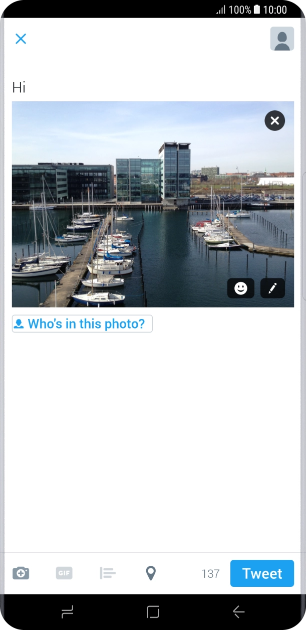 Write the required text and press Tweet.