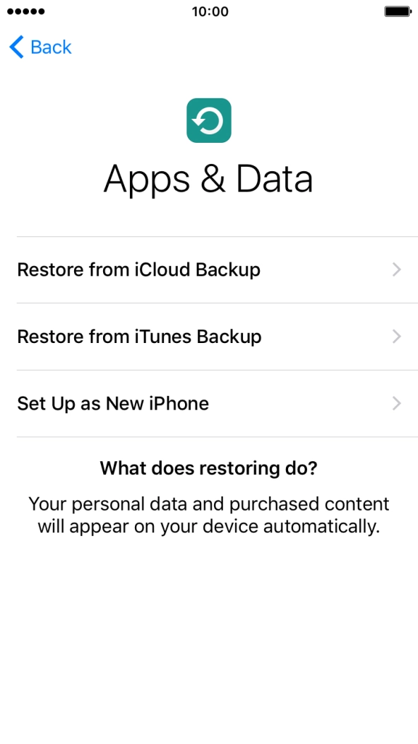 Press Restore from iCloud Backup.