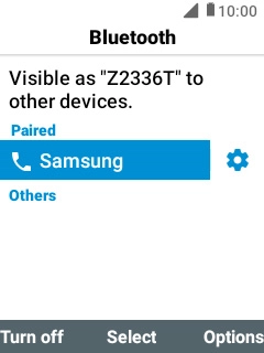 Press Disconnect to return to the home screen.
