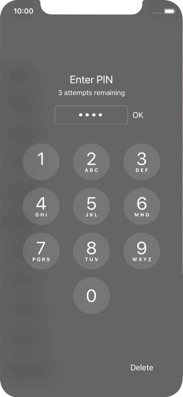Key in your PIN and press OK.