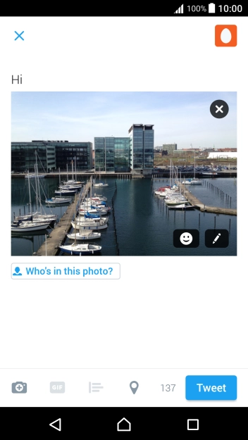 Write the required text and press Tweet.