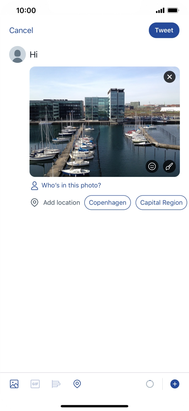 Write the required text and press Tweet.