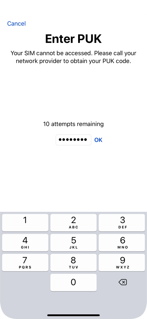 Key in the PUK and press OK.