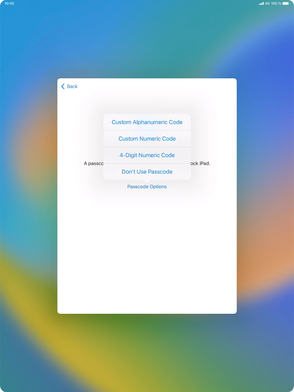 Follow the instructions on the screen to turn on use of lock code or press Don't Use Passcode.