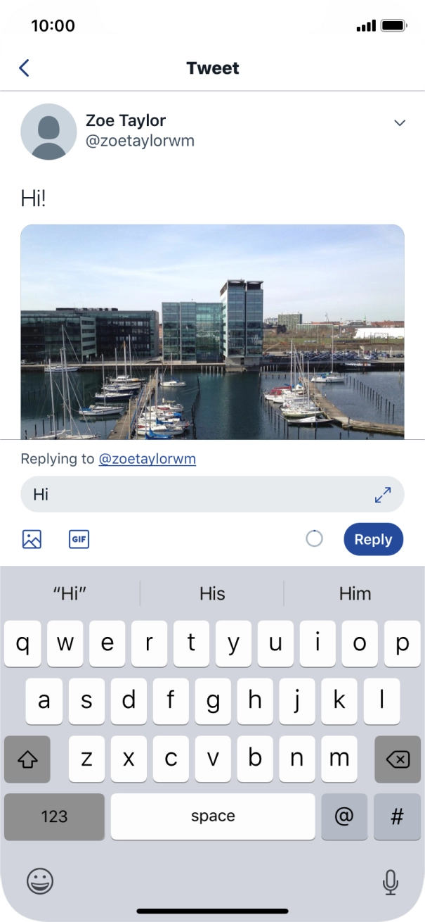 Write the required reply and press Reply. Write the required reply and press Reply.