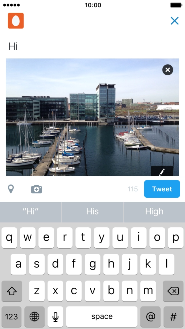 Write the required text and press Tweet.