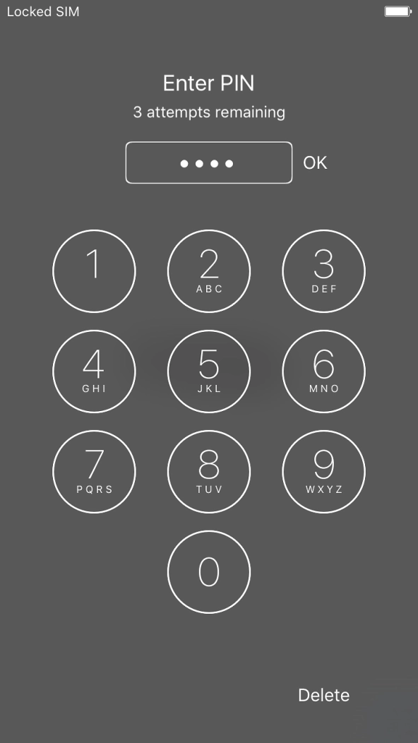 Key in your PIN and press OK.