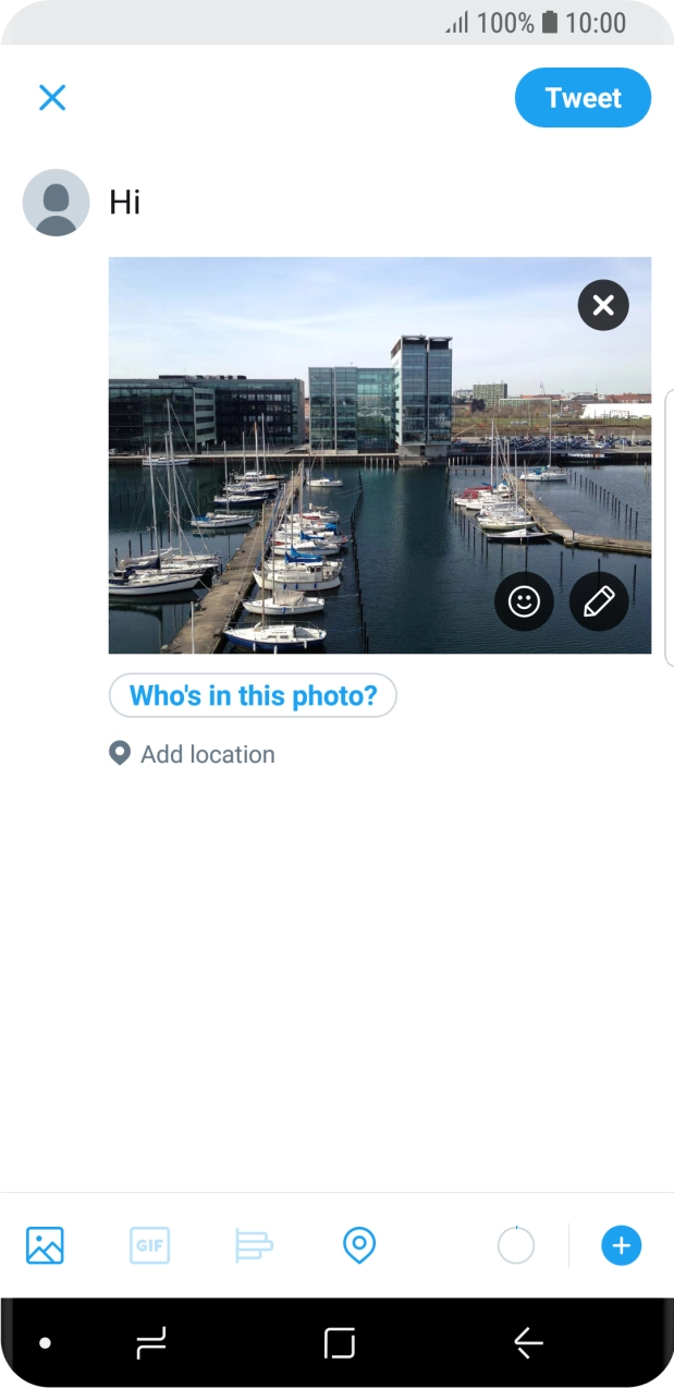 Write the required text and press Tweet.