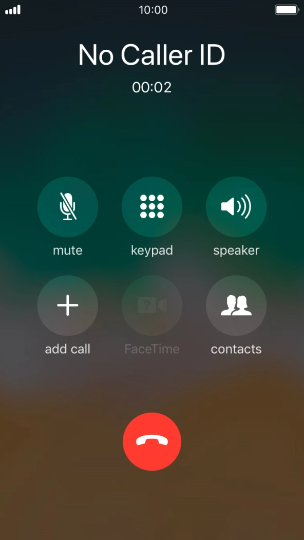 Press the end call icon to end the call and return to the home screen.