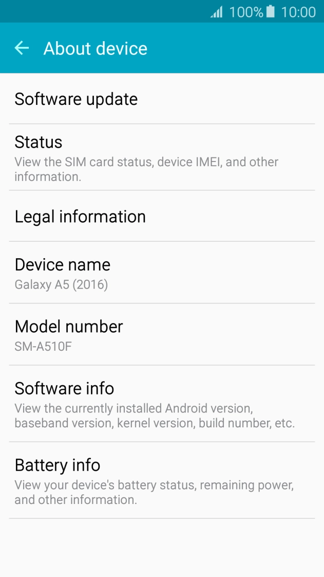 Press Software update. Press Software update.