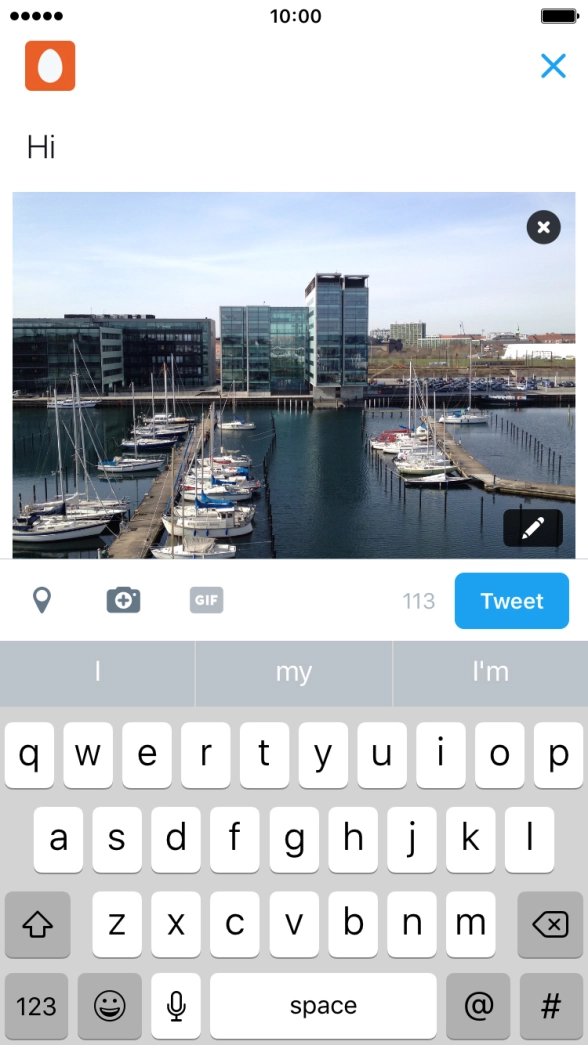 Write the required text and press Tweet.