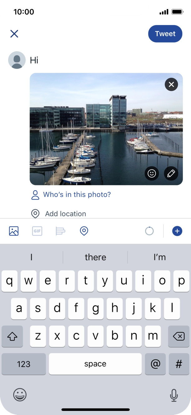 Write the required text and press Tweet.