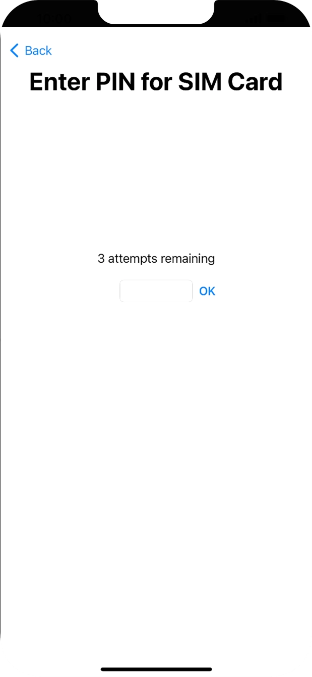 If your SIM is locked, key in your PIN and press OK.