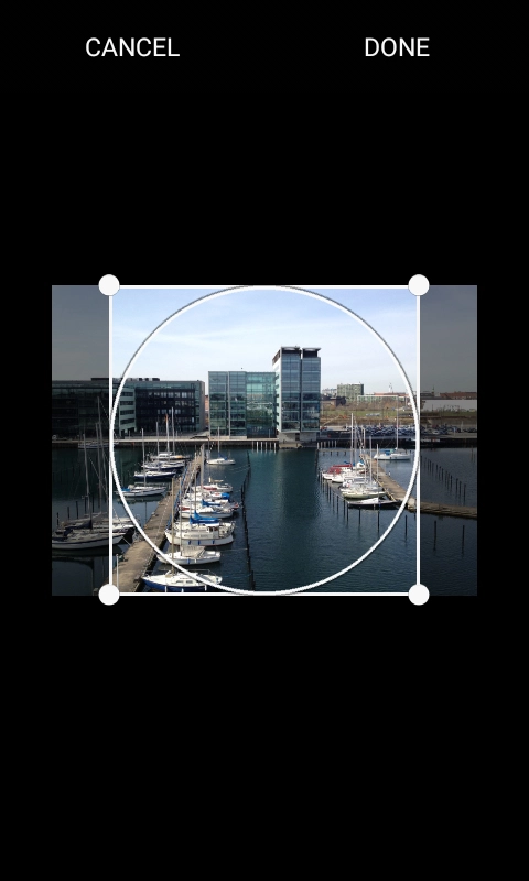 Drag the frame to the required position to select the required detail and press DONE.