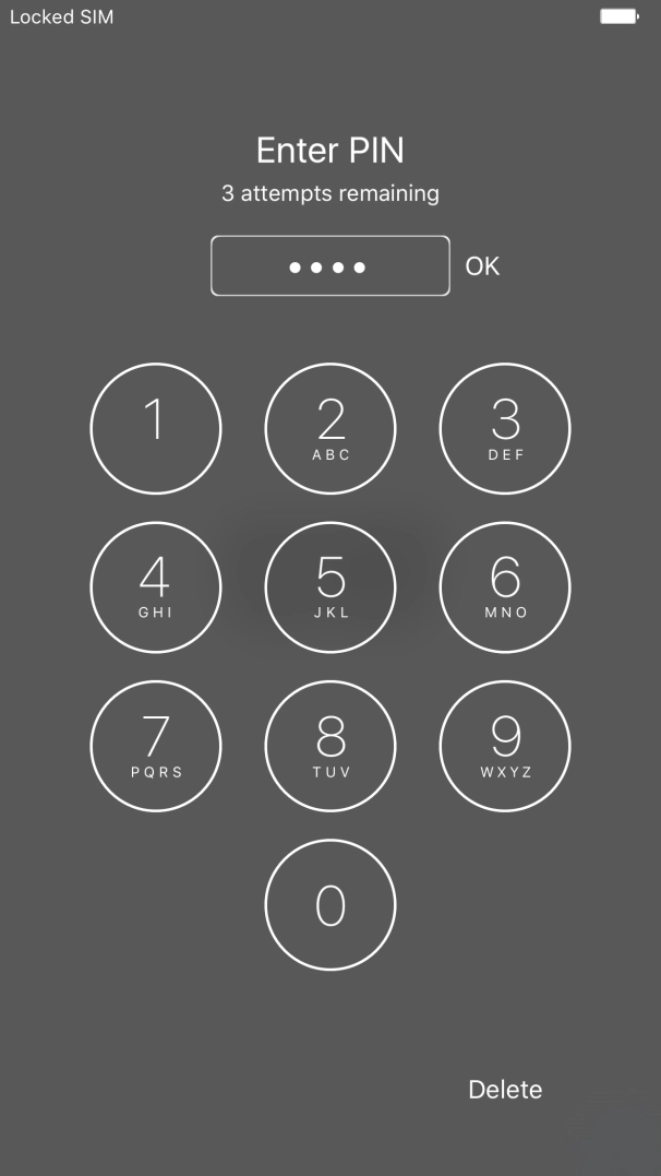 Key in your PIN and press OK.