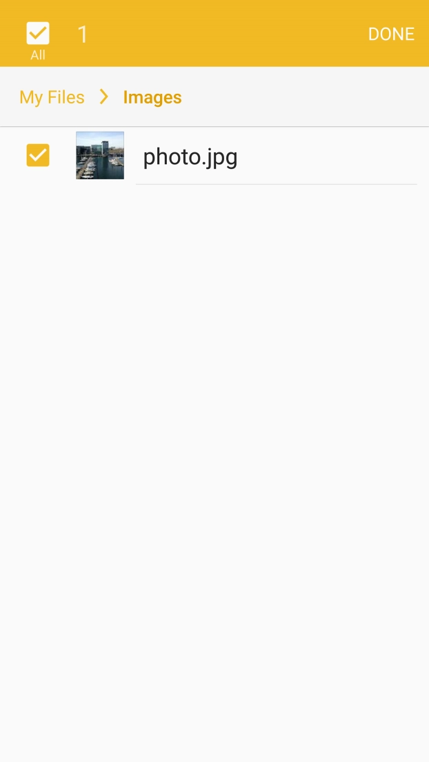 Press DONE. Press DONE.