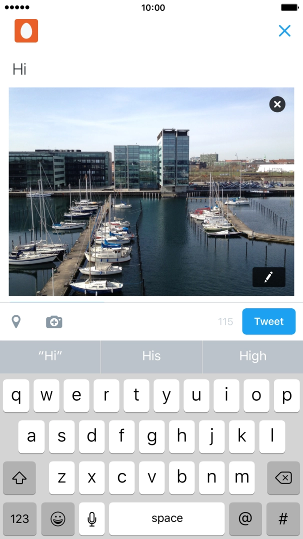 Write the required text and press Tweet.