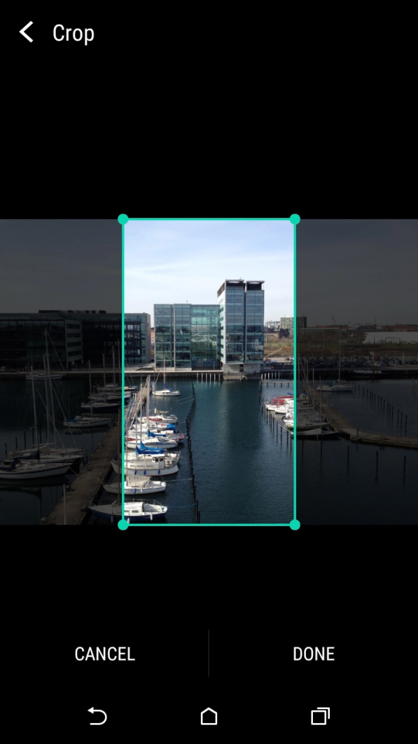 Drag the frame to the required position to select the required detail and press DONE.