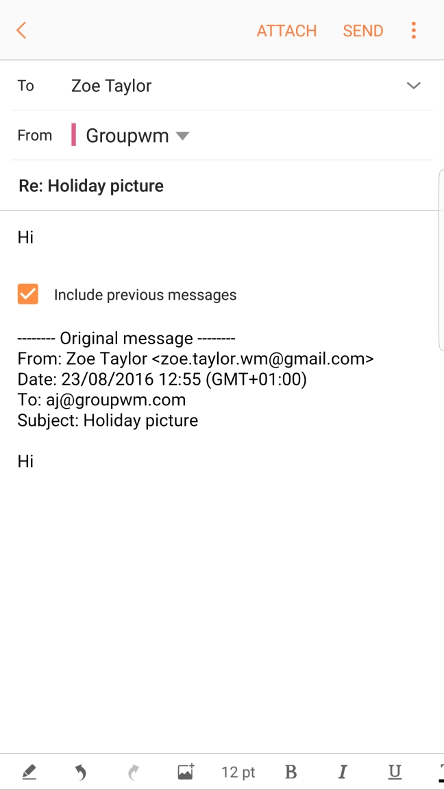 Write the text and press SEND.